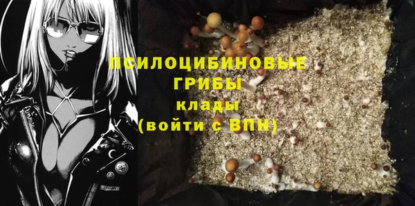 мескалин Ладушкин