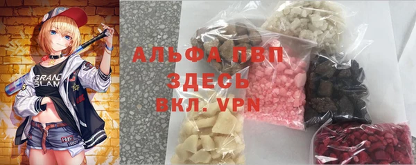 прущие грибы Куйбышев