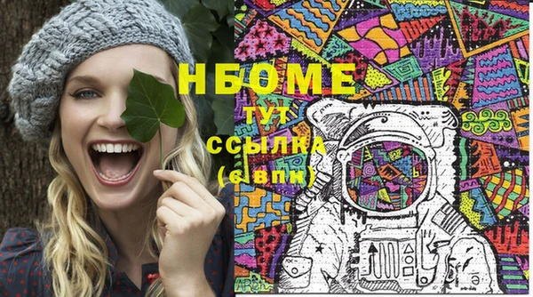 прущие грибы Куйбышев