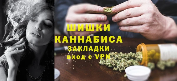 прущие грибы Куйбышев