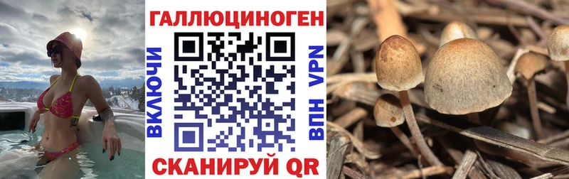 гидра зеркало  Нюрба  Псилоцибиновые грибы прущие грибы  где купить наркотик 